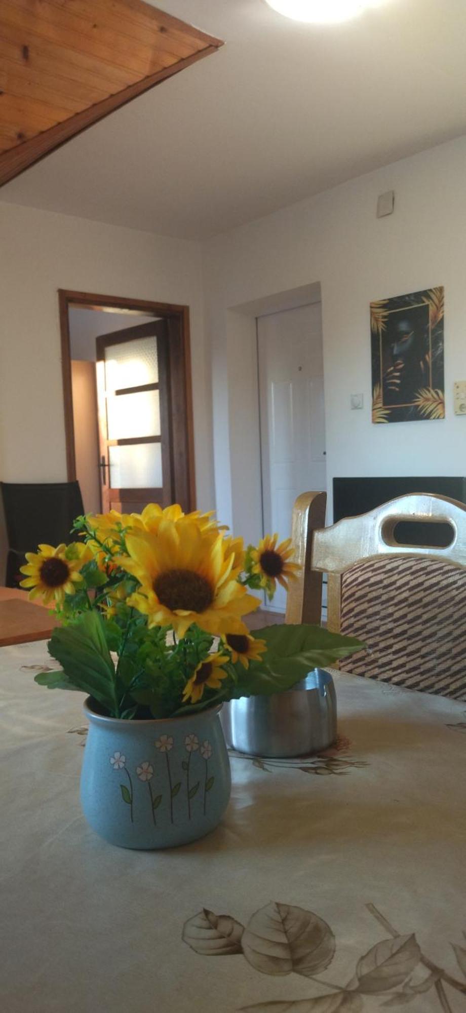 Vila Lenka Sokobanja Zimmer foto