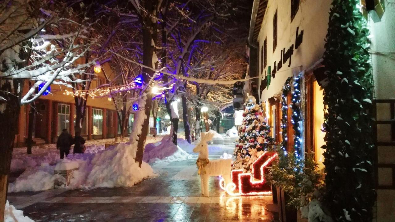 Vila Lenka Sokobanja Exterior foto