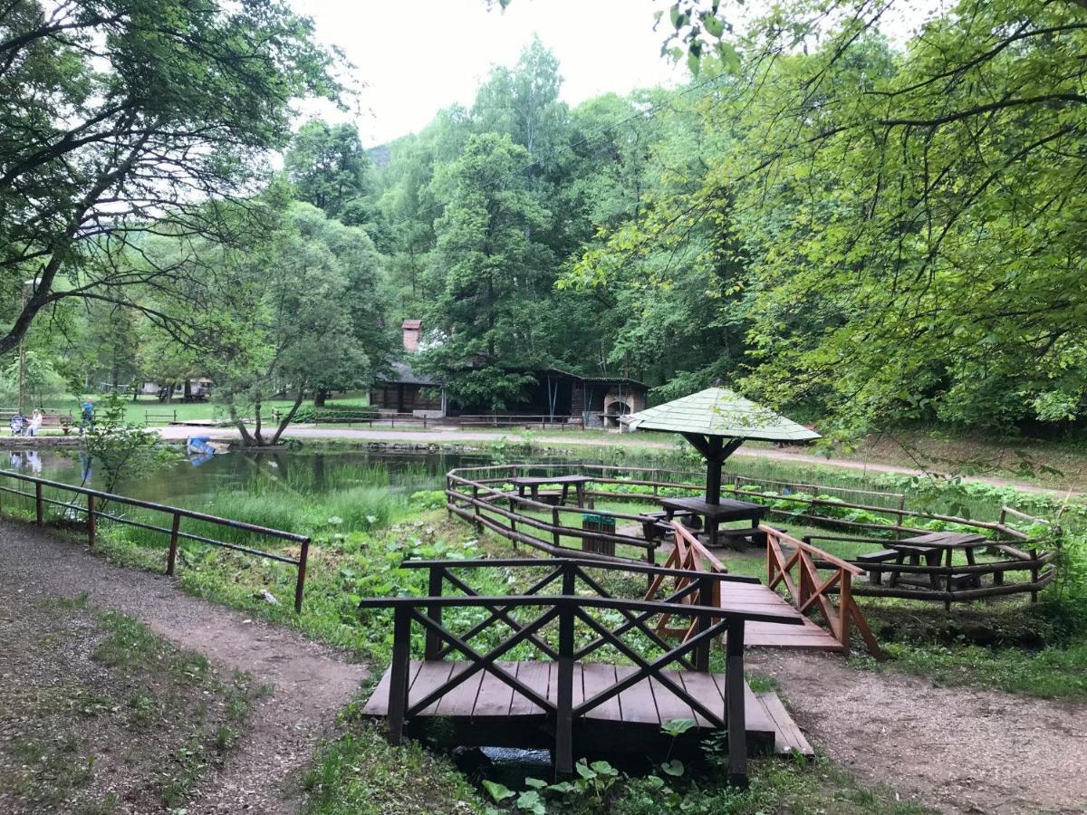 Vila Lenka Sokobanja Exterior foto